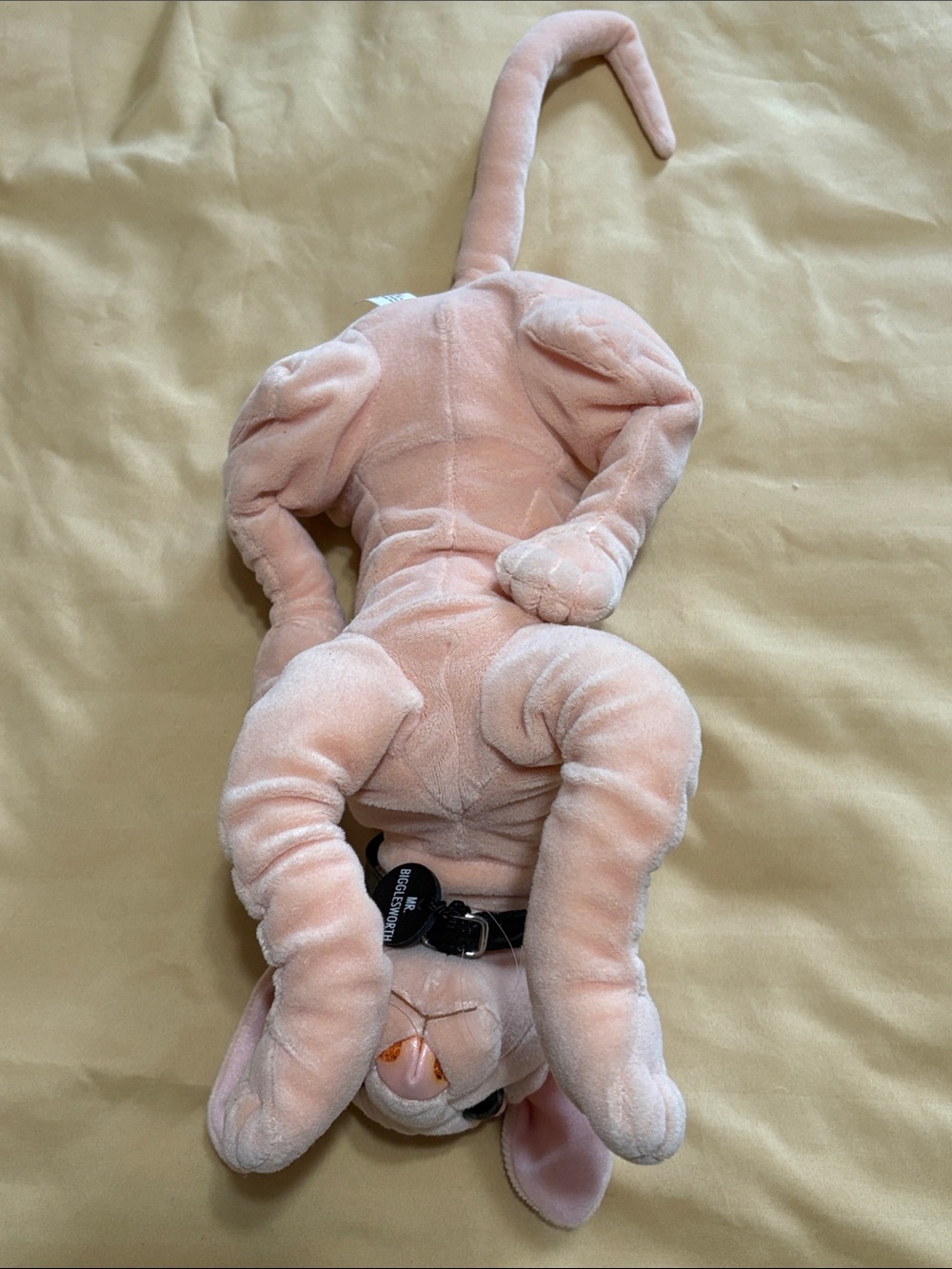 Mr. Bigglesworth Plush Cat from Austin Powers - Picture 7 of 7